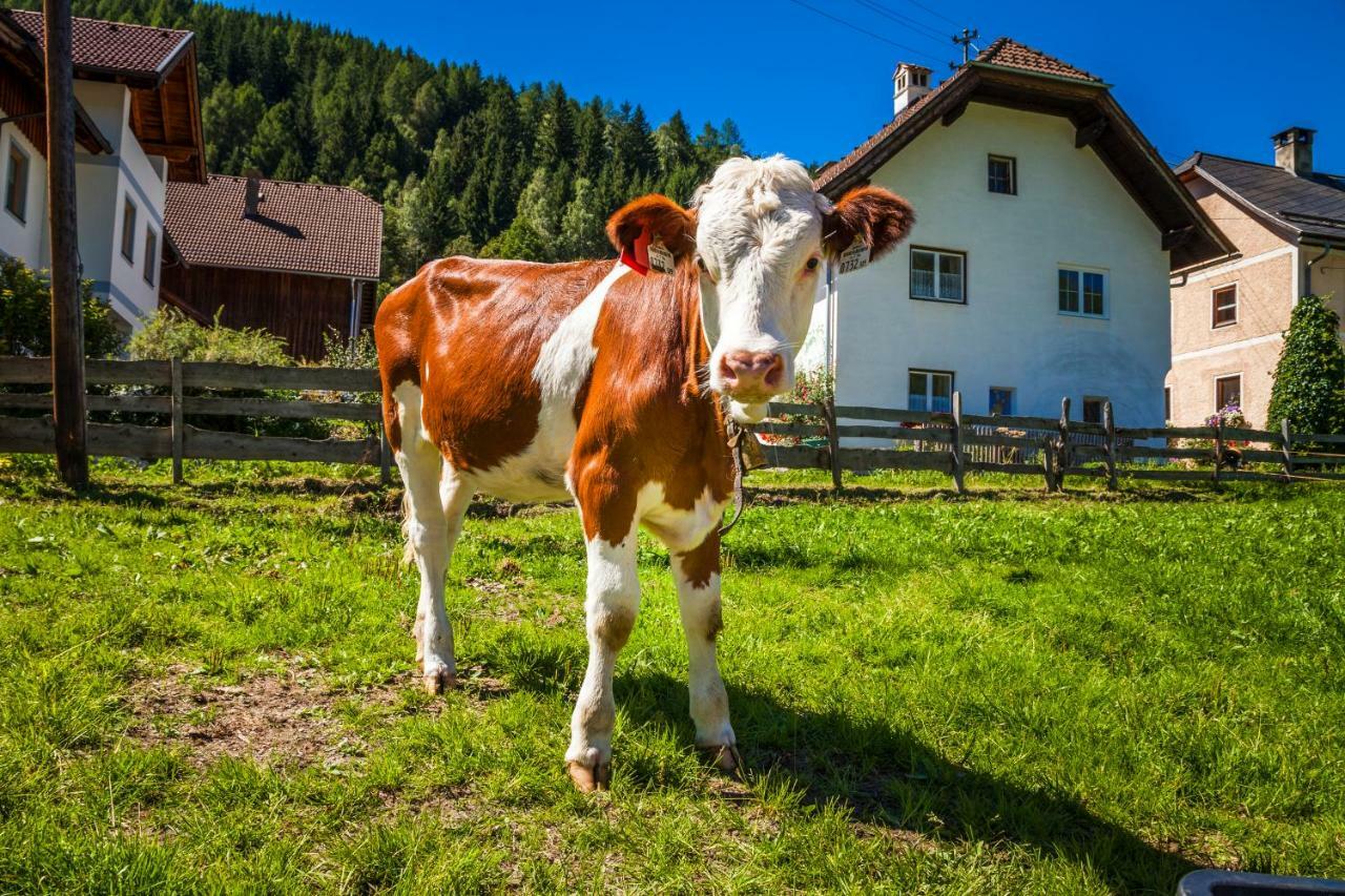 Vila Grillhof-Gut Mauterndorf  Exteriér fotografie