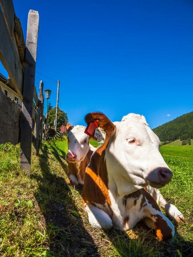 Vila Grillhof-Gut Mauterndorf  Exteriér fotografie