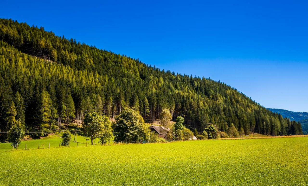 Vila Grillhof-Gut Mauterndorf  Exteriér fotografie
